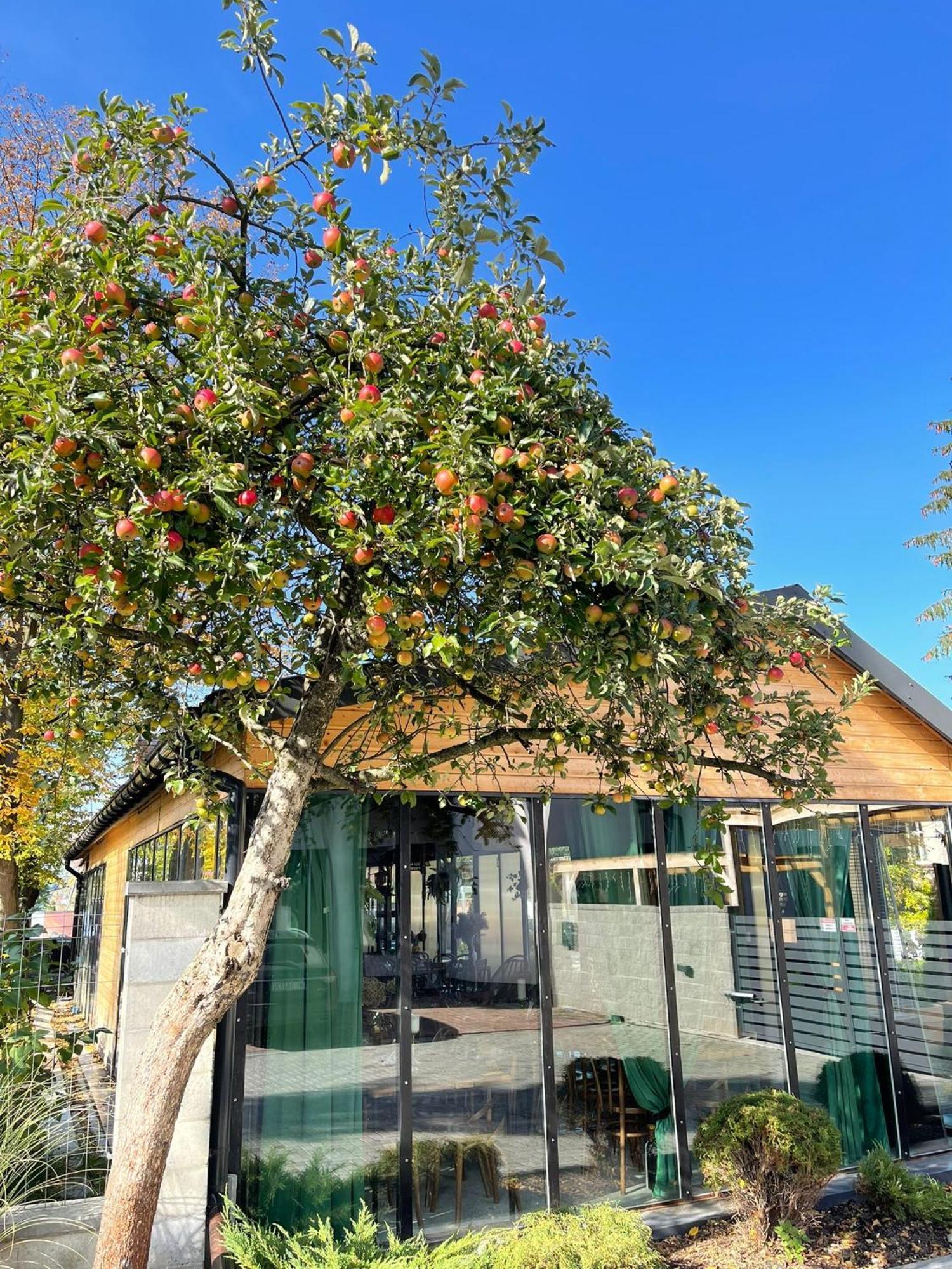 Boho House Aparthotel Ustrzyki Dolne Kültér fotó